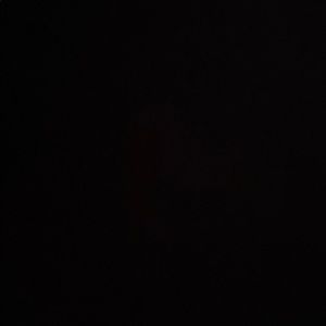 Meet your Posher, Jennie